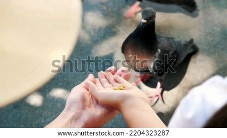VENICE, ITALY - JULY 7, 2018: close up, tourists feed pigeons from hands, in Venice. tame pigeons. High quality photo