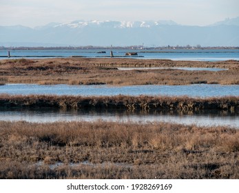 Venice Lagoon In Winter Time