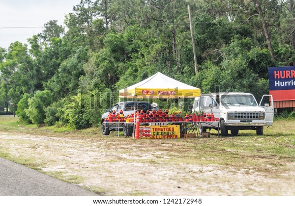Venice, USA - April 29, 2018: Roadside fruit\
vegetable farm produce vendor stand selling tomatoes sign in\
Florida city by road