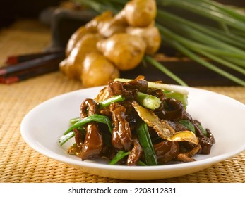 Venison With Spring Onion And Ginger Served In A Dish Isolated On Table Side View