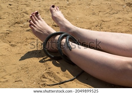 A venomous snake wrapped around the leg of a woman resting on the beach.