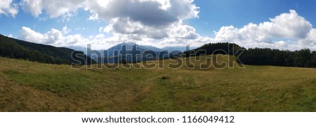 Similar – Foto Bild Spaziergang auf der Alm