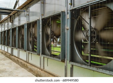 Ventilation fan system of greenhouse - Shutterstock ID 689949580