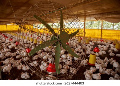 Sistema de ventilación en las aves de corral: funcionamiento del ventilador para reducir el estrés térmico en la parrilla de pollos de engorde