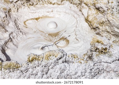 Venting gases create bubbles in a mud pot in the Grizzly Fumarole, Mud Volcanoes, Yellowstone National Park, WY