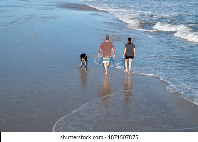 Ventnor City, New Jersey - September,2020: View From Above Of The Back Of A Man And Woman Walking Their Dog Along The Edge Of The Ocean Water On A Sunny Day