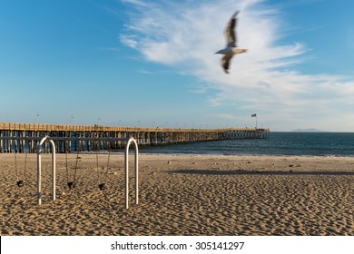 Ventura Pier With Seagull Photobomb