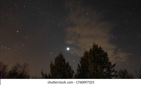 Venus bright in the sky, and the Pleiades cluster nestled between the tress. Orange Beteguese in Orion shines to the left of the frame.