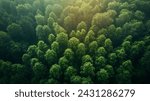 Verdant Canopy Aerial View of Dense Green Forest Symbolizing Ecological Health