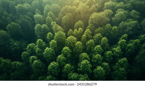 Verdant Canopy Aerial View of Dense Green Forest Symbolizing Ecological Health - Powered by Shutterstock