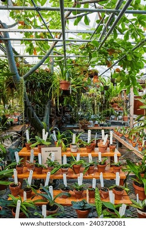 Verdant Greenhouse Oasis with Do Not Touch Plants, Muncie Conservatory
