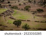 Verdant Terraces: The Lush Agricultural Steps of Sawda Mountains, Asir Abha, Saudi Arabia. Jul 23,2021