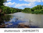 The Verde River in central Arizona and Cottonwood trees along the bank