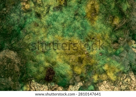 Verdigris corrosion texture under the microscope