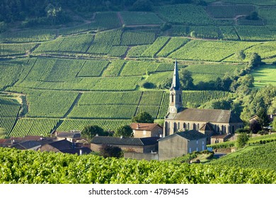 Vergisson with vineyards, Burgundy, France