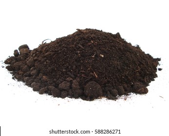 Vermicompost Isolated