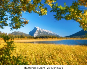 Vermilion lakes. Landscape during daylight hours. A lake in a river valley. Grass in the water. Fall view. Mountains and forest. Natural landscape. Banff National Park, Alberta, Canada. 