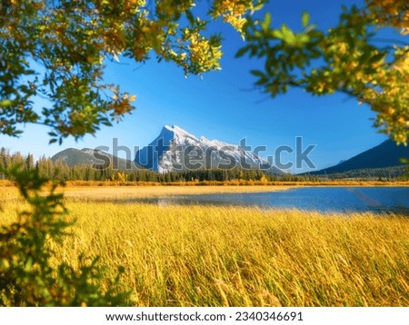 Vermilion lakes. Landscape during daylight hours. A lake in a river valley. Grass in the water. Fall view. Mountains and forest. Natural landscape. Banff National Park, Alberta, Canada.  Stock photo © 