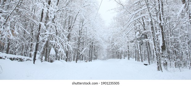 Vermont Backroad After A Winter Storm