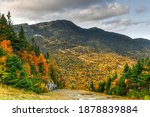 Vermont Fall Foliage in forest on Mount Mansfield in Vermont, USA