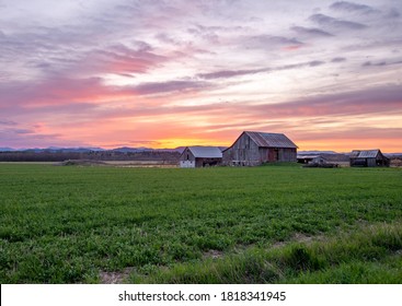 Vermont Farm At A Summer Sunset