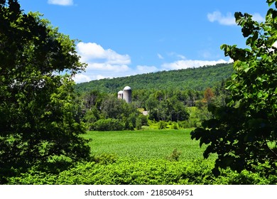 Vermont Mad River Valley Silos