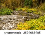 Vermont stream in the Fall