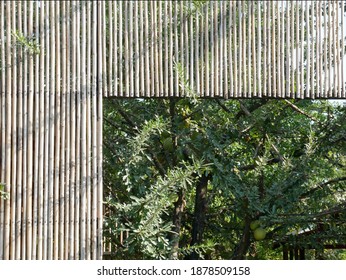 Vernacular Architecture With Designed Bamboo Panel.