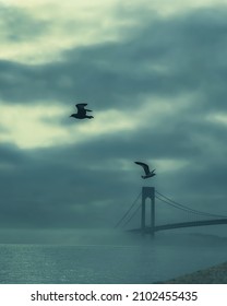 The Verrazzano-Narrows suspension Bridge hidden in the fog on a moody day in New York