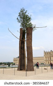 VERSAILLES, FRANCE - JUNE 8, 2013:Installation Giuseppe Penone In The Gardens Of Versailles