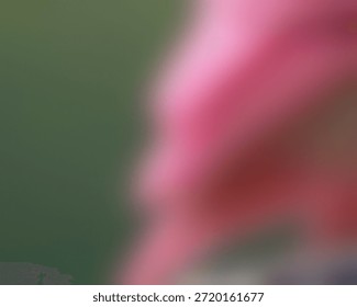 Versatile 4K grain gradient, great for wallpapers, branding, and more.