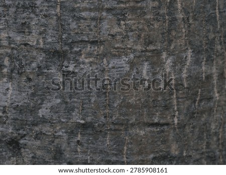 A versatile, dark grey textured surface with fine, naturally occurring gold-toned organic fiber lines. A neutral yet visually interesting backdrop, suitable for a wide range of graphic and architectural applications.