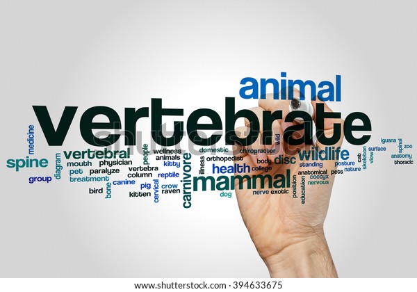 Vertebrate Word Cloud Concept Stock Photo Edit Now 394633675