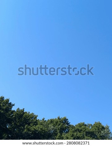 Vertical 4:5 view of a bright blue sky with a natural green tree border and spacious copy space, perfect for posters, Pinterest and mobile advertising.