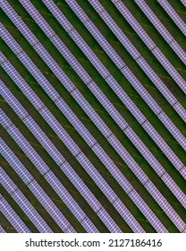 A Vertical Aerial Shot Of Solar Pannels In A Field