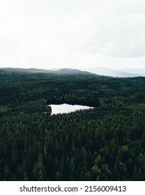 A Vertical Aerial View Of A Lake In The Middle Of A Forest In Oslo, Norway