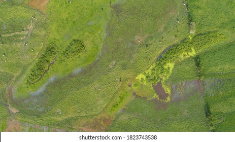 Vertical Aerial View Of Wetlands Near Mompos, Colombia