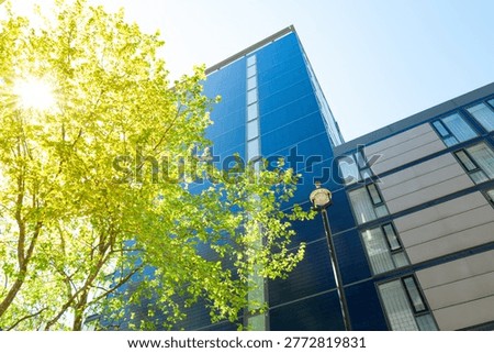 Vertical aspect of a newly built skyscraper seen in Pimlico, central London on a bright sunny day. The sun is gleaming through a lush tree in the capital.