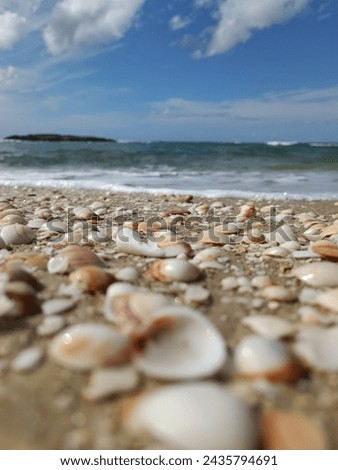 vertical background with beach with shells sea blue sky 