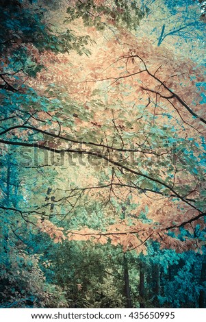 Similar – Image, Stock Photo Cherry blossom festival.