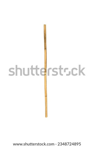 Vertical bamboo wooden stick isolated on white background