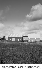 A Vertical Black And White Photo Of Old Wooden Barns In Bright Sunlight Near Farm Fields Under Storm Clouds Viewed From A Road.