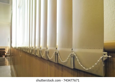 Vertical blinds in the room with sunlight. Interior concept. 