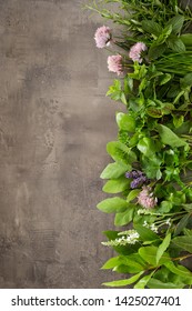 Vertical border of different fresh aromatic herbs for cooking with edible flowers on a textured grey slate background with copy space