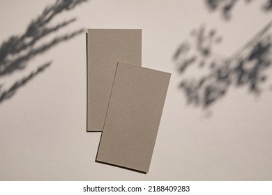 Vertical Business Cards On Background With Leaf Shadows. Logo Design Showcase.