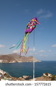 Vertical Chinese Fish Kite Flying 