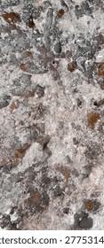 Vertical Close Up Macro Texture of Ancient Weathered Coral Stone Wall with Lichen and Erosion from Colonial Fortress in Havana, Cuba, Rough Surface Background