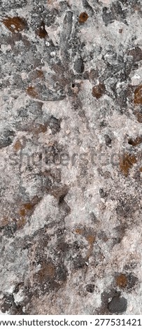 Vertical Close Up Macro Texture of Ancient Weathered Coral Stone Wall with Lichen and Erosion from Colonial Fortress in Havana, Cuba, Rough Surface Background