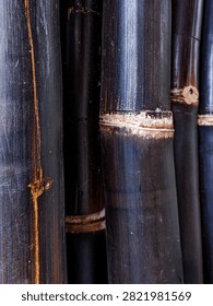 Vertical close up texture of dark black bamboo stems with natural weathered wood grain and golden stripes