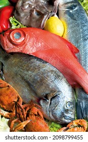 Vertical close up view of various fresh fish with sea bream, sea bream and other fresh fish. Different fish on a tray and seafood fresh from the sea and prepared for cooking